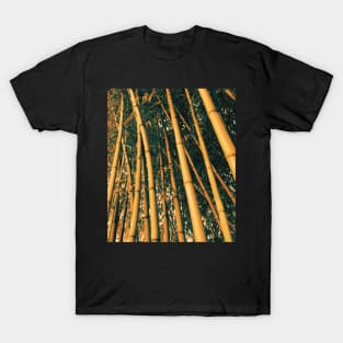 Bamboo processed photo T-Shirt